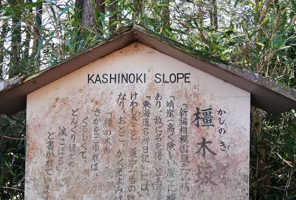 旧東海道（箱根旧街道）橿木坂
