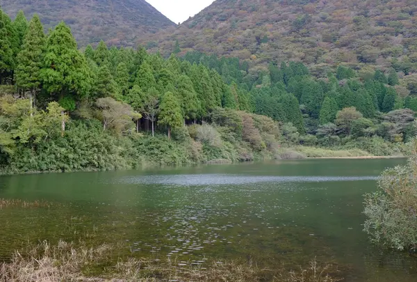 お玉ケ池