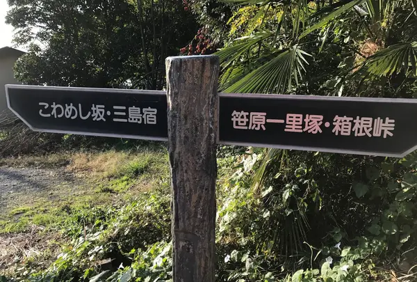 旧東海道（箱根旧街道） 下長坂（こわめし坂）