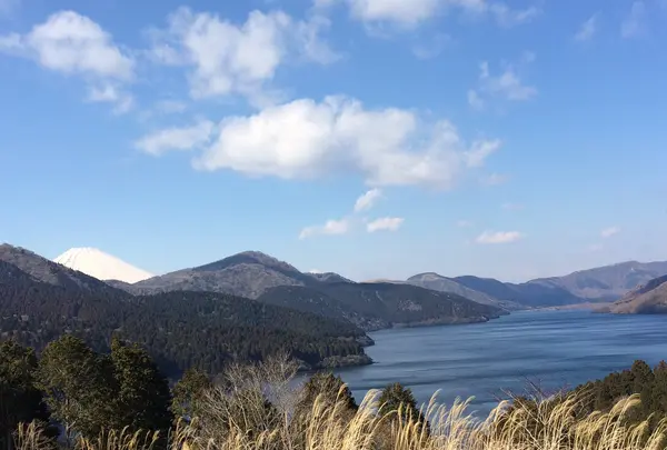 道の駅箱根峠