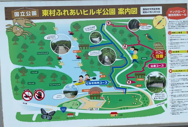 東村ふれあいヒルギ公園