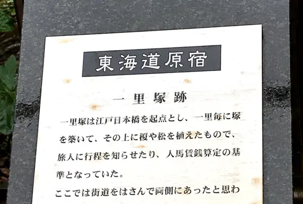 東海道原宿 一本松一里塚跡