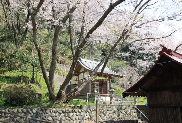 八坂神社