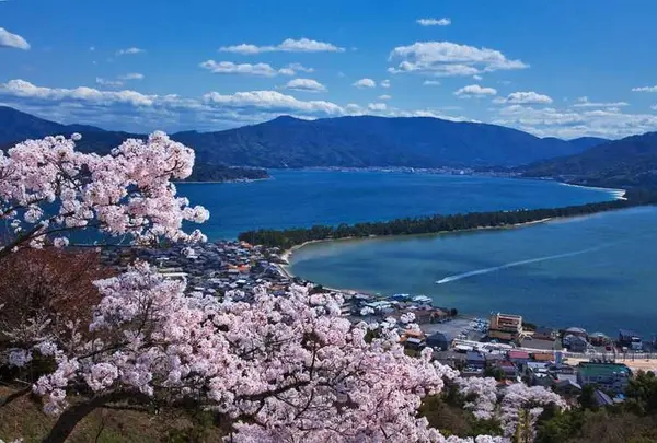 傘松公園