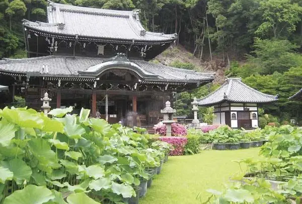 三室戸寺