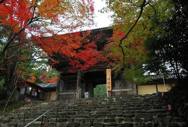 神護寺