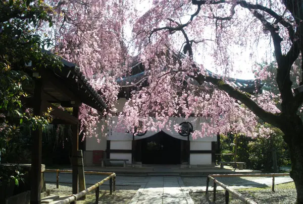 養源院