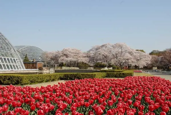 京都府立植物園