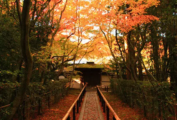高桐院