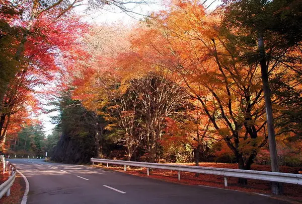 嵐山−高雄パークウェイ