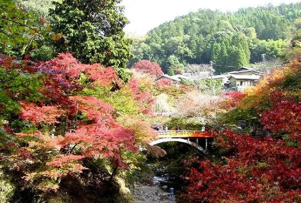 西明寺