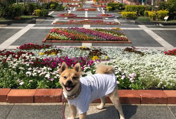 海洋博公園