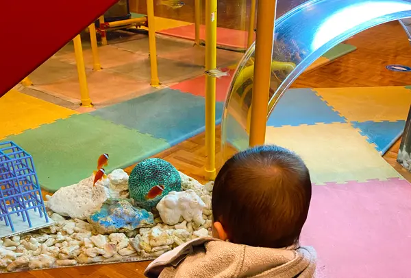 ヨコハマおもしろ水族館・赤ちゃん水族館