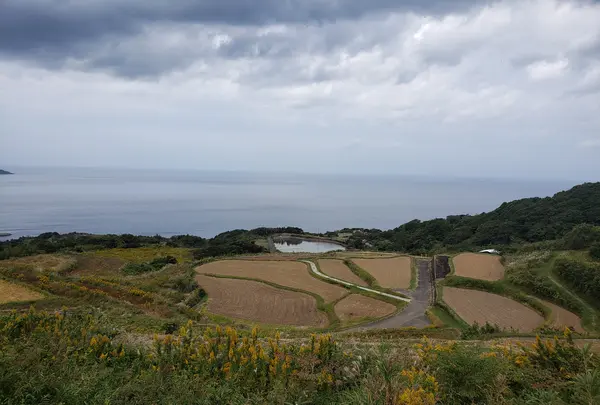 東後畑棚田の写真・動画_image_894061