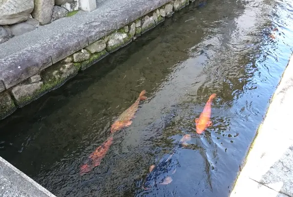 起し太鼓の里