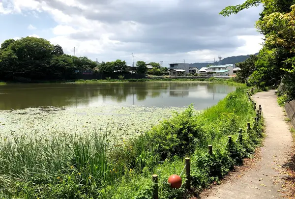 上原堤（宗旦池）