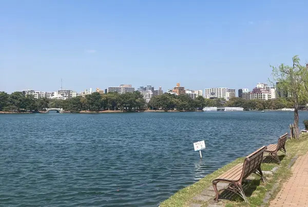 大濠公園の写真・動画_image_895032