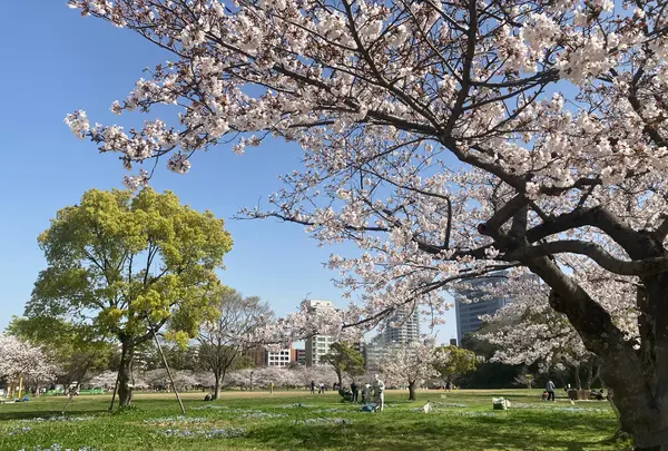 舞鶴公園の写真・動画_image_895033