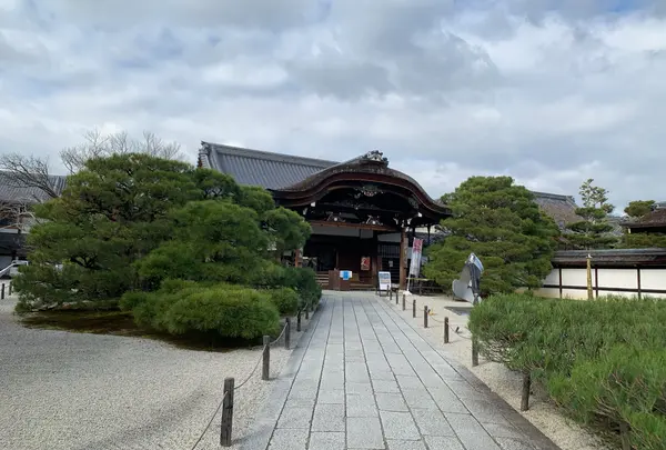仁和寺の写真・動画_image_895631