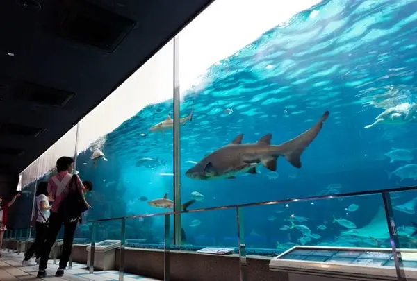 神戸市立須磨海浜水族園