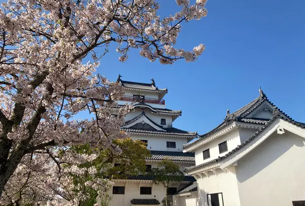 唐津城