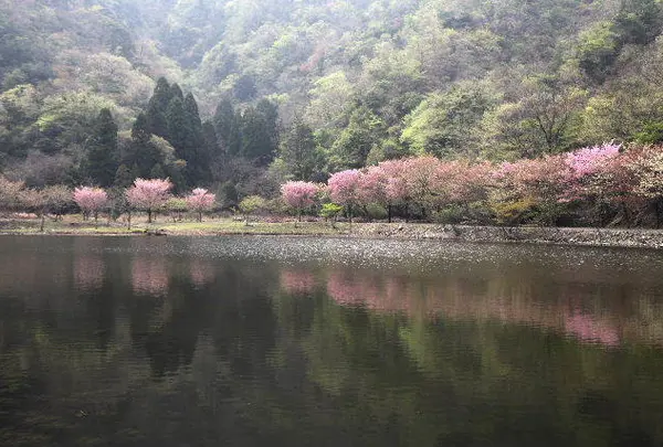 兵庫県立円山川公苑