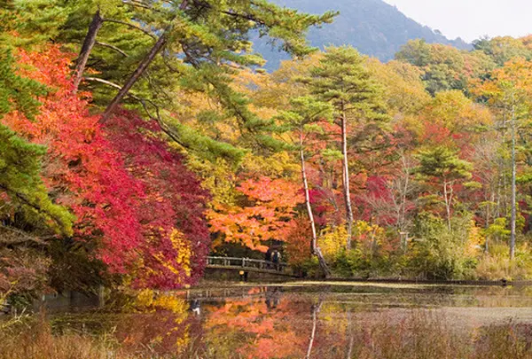 神戸市立森林植物園