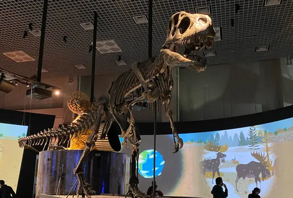 国立科学博物館の写真・動画_image_899477