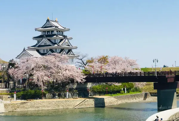 墨俣一夜城（歴史資料館）の写真・動画_image_899478