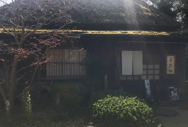 自然処