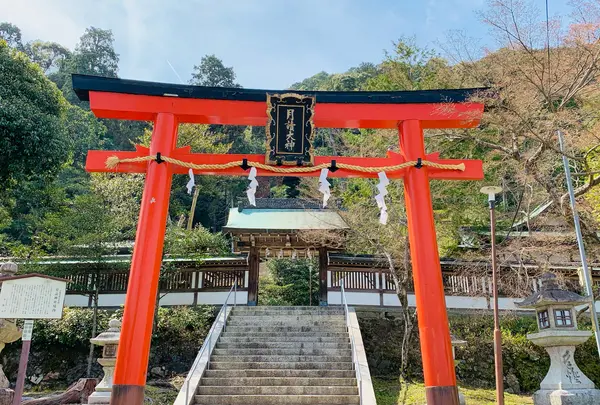 月読神社の写真・動画_image_899872
