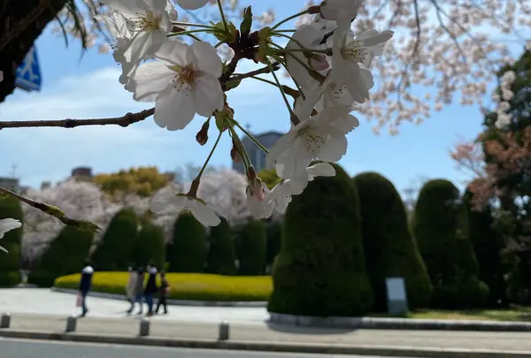 平和記念公園の写真・動画_image_900224