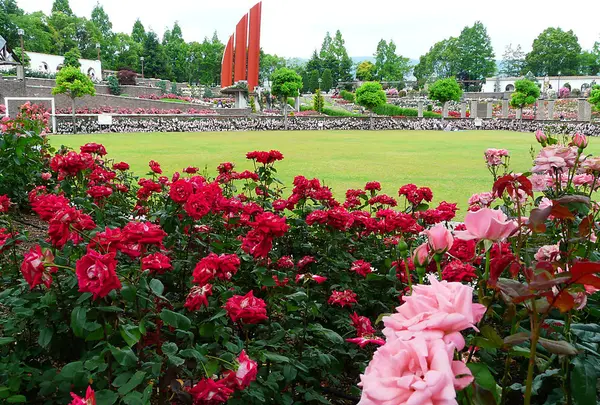 荒牧バラ公園　兵庫
