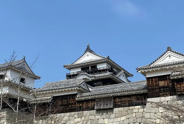 松山城の写真・動画_image_901747