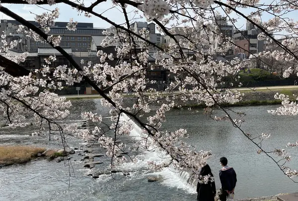 鴨川