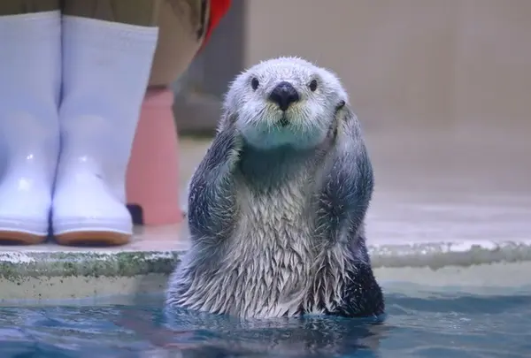 鳥羽水族館