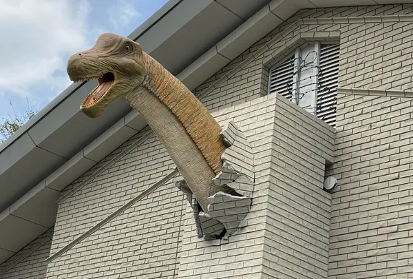 丹波竜化石工房ちーたんの館