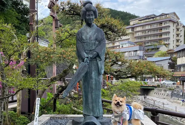 夢千代像の写真・動画_image_907953