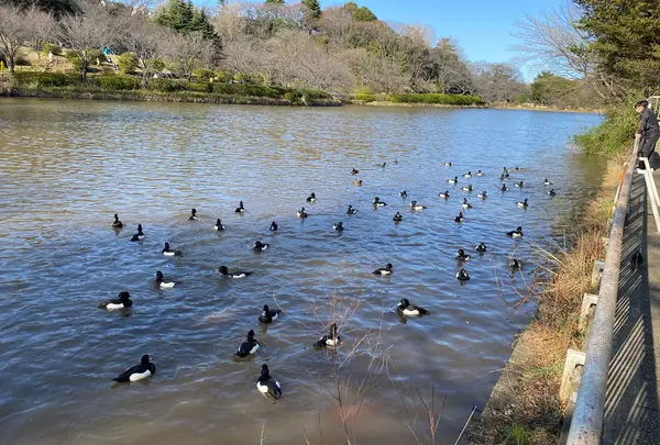三ツ池公園