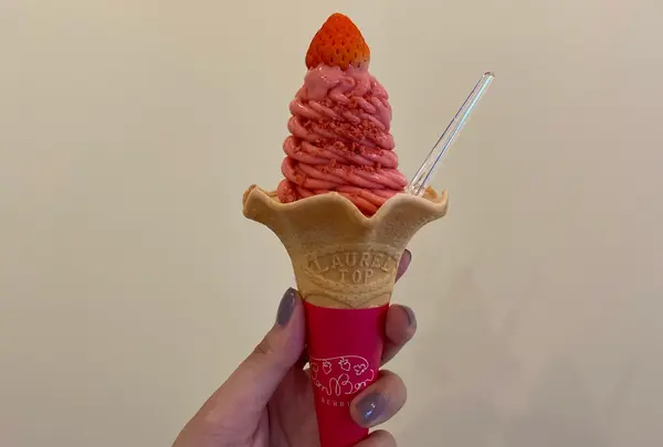 いちごボンボンベリー熱海ハウス