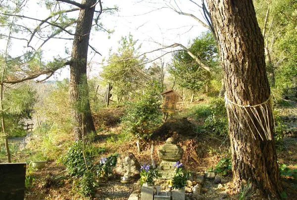 笠懸の松