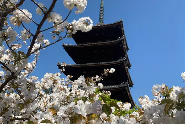 仁和寺
