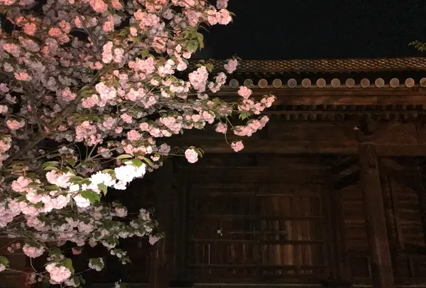 東寺（教王護国寺）