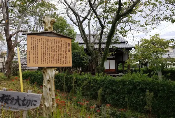 島田大堤
