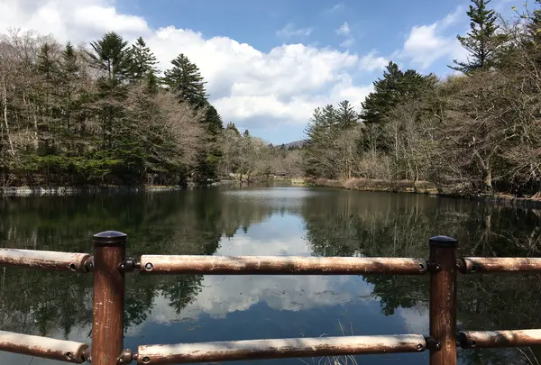 雲場池の写真・動画_image_910746