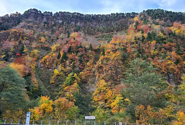 称名平駐車場
