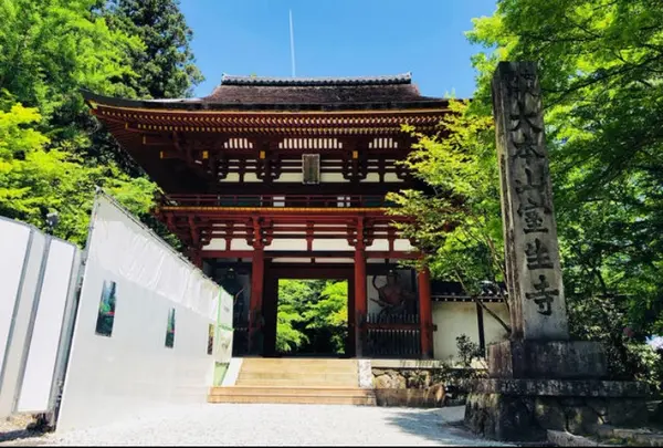 室生寺の写真・動画_image_911127