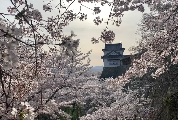 津山城跡