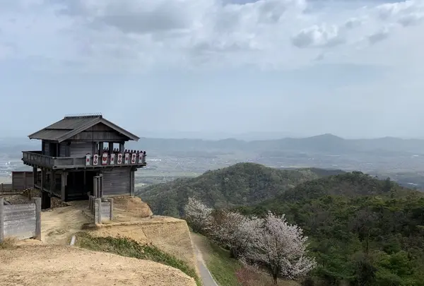 鬼城山の写真・動画_image_911553