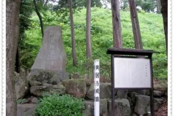 興国寺城跡